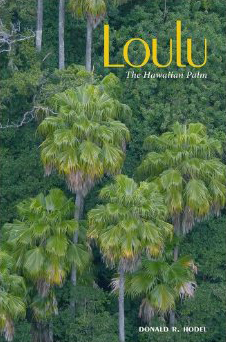Loulu the Hawaiian Palm