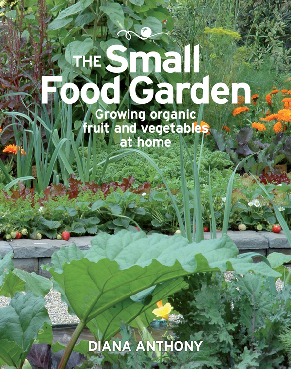 Small Food Garden